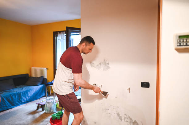 Attic Mold Removal in Monte Sereno, CA