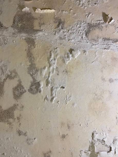 Water Damage Restoration in Monte Sereno, CA