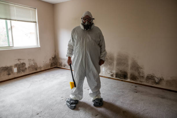 Mold Removal and Inspection in Monte Sereno, CA